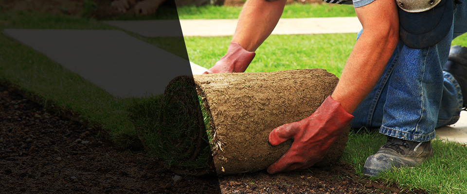 Mooresville Landscapers